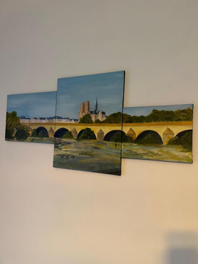 Cosy Loire, T2 Neuf, Front De Loire ,Vue Cathedrale,5Min A Pied Centre Ville Et Parking Prive Ορλεάνη Εξωτερικό φωτογραφία