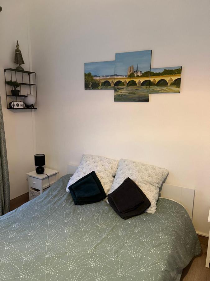 Cosy Loire, T2 Neuf, Front De Loire ,Vue Cathedrale,5Min A Pied Centre Ville Et Parking Prive Ορλεάνη Εξωτερικό φωτογραφία